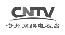 中国网络电视台